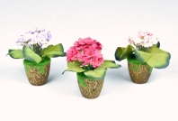   Фиалка мал., размер: высота 17 см., ширина 18 см., материал: пластик																