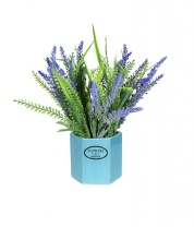   Лаванда-мини в пластиковом горшке, размер: высота 20см., ширина 20 см