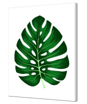   931 Канвасы 40*50