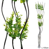   636513 Сухоцвет, набор 5 штук, H-155см. /39-110/